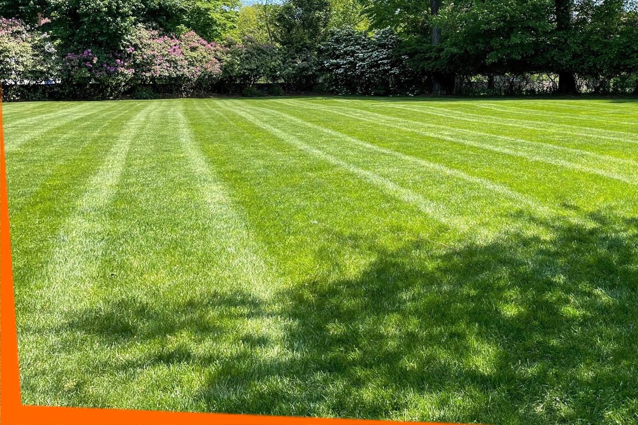 Full Service Lawn Care Packages - Palmer Landscapes - Westport, CT