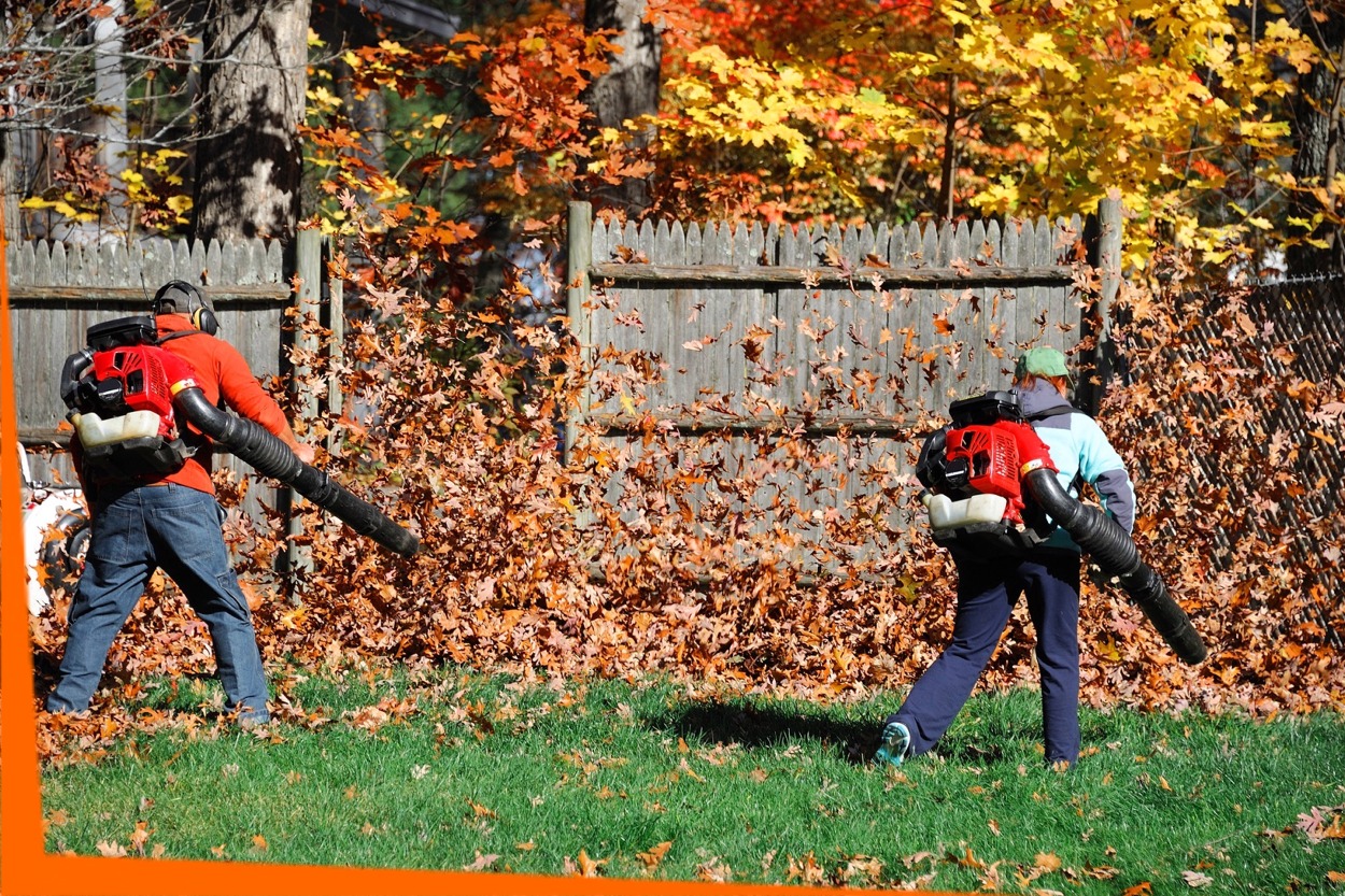 Seasonal Landscape Cleanups - Palmer Landscapes - Westport, CT