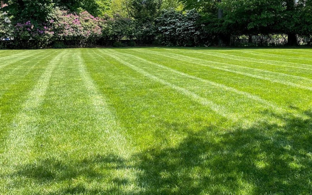 Landscape Property Maintenance Contractors in Westport, CT